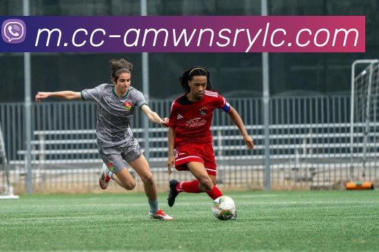 威尼斯人官网APP 封面图